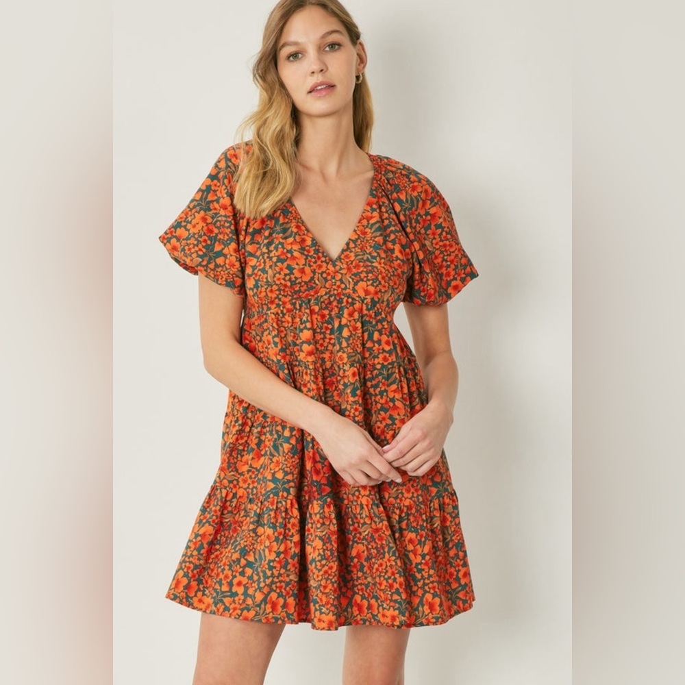 NWOT- Entro A-Line Ruffle Poppy Dress